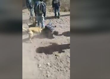 ¿Echaron a los perros a supuesto ladrón de caballos en Querétaro? Autoridades dicen que no fue linchamiento