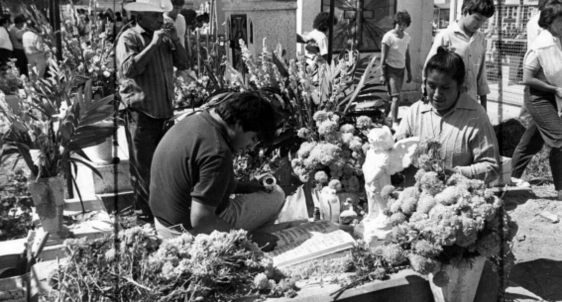 La flor que acompaña a nuestros muertos
