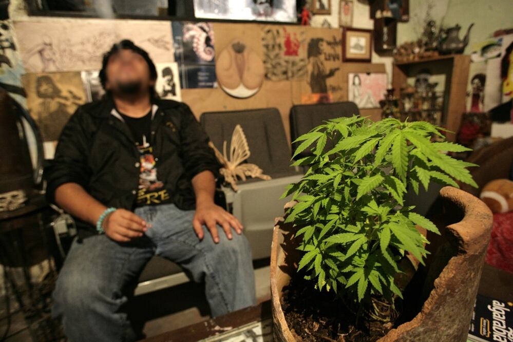 La Suprema Corte de Justicia de la Nación (SCJN) está abierta a recibir más amparos relacionados con el consumo de marihuana y de otras sustancias, sin que eso implique su resolución de la misma manera, pues se revisan  casos concretos, asegura en entrevista el ministro Arturo Zaldívar Lelo de Larrea. Foto: Iván Stephens/EL UNIVERSAL