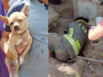 Entre porras, bomberos rescatan a perrito atrapado en Iztacalco