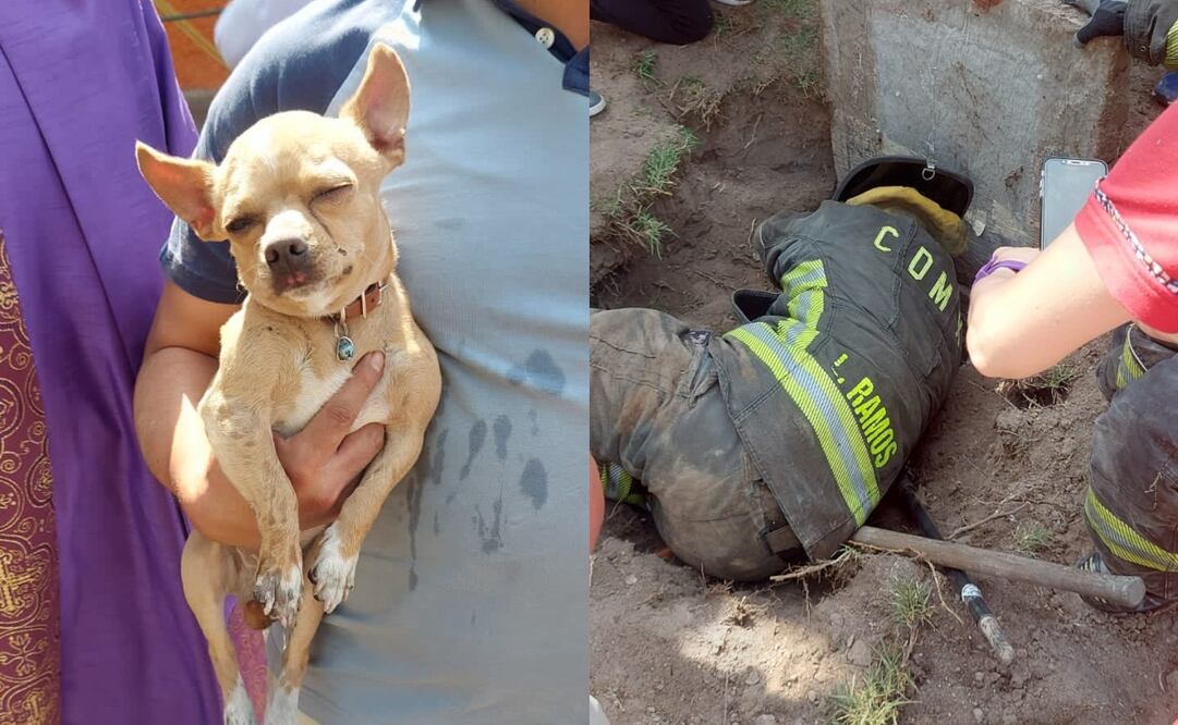 Los vecinos se mostraron entusiastas ante el rescate del can. Foto: Twitter @Bomberos_CDMX