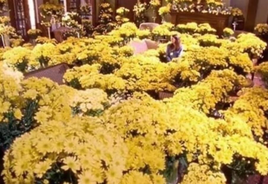 Cinco capítulos memorables de la tv