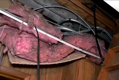 Encuentran 11 cadáveres de recién nacidos en funeraria de Detroit