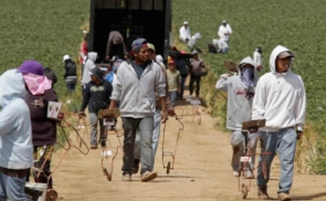 Foto: Archivo EL UNIVERSAL