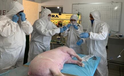 Multi-patient ventilator designed in Mexico for COVID-19 patients is approved