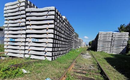 Piden a Semarnat no aprobar Manifestación de Impacto Ambiental del Tren Transístmico