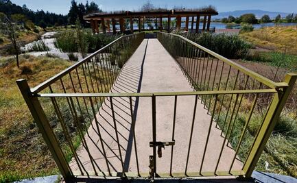 “El ajolotario dejó de funcionar”: vecinos