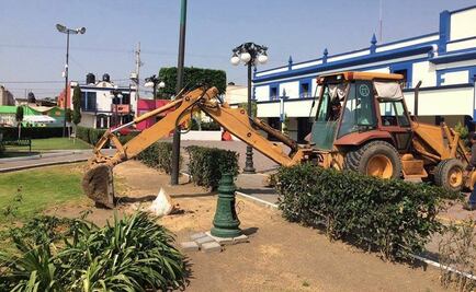 Confrontan a edil de Cholula por tala de 23 árboles