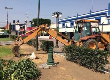 Confrontan a edil de Cholula por tala de 23 árboles