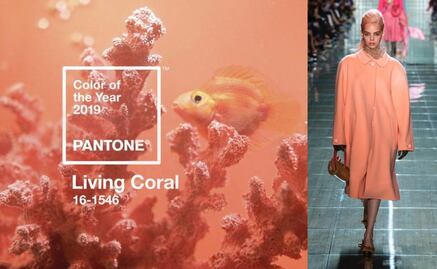 Pantone revela cuál será el color del 2019 