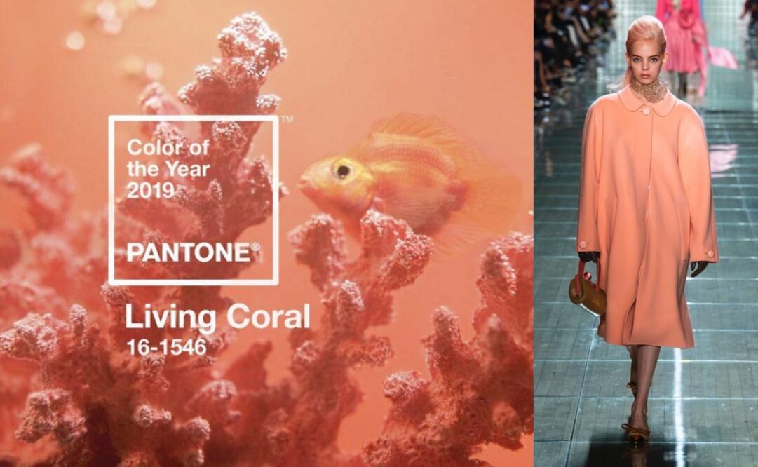 Este color está inspirado, una vez más, en la naturaleza. Foto: Cortesía y Vogue Runway