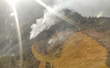 Incendio forestal afecta 15 hectáreas en sierra de Rayones, Nuevo León