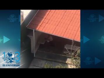 Captan en video a maestra que ahorca a niño en escuela de CDMX