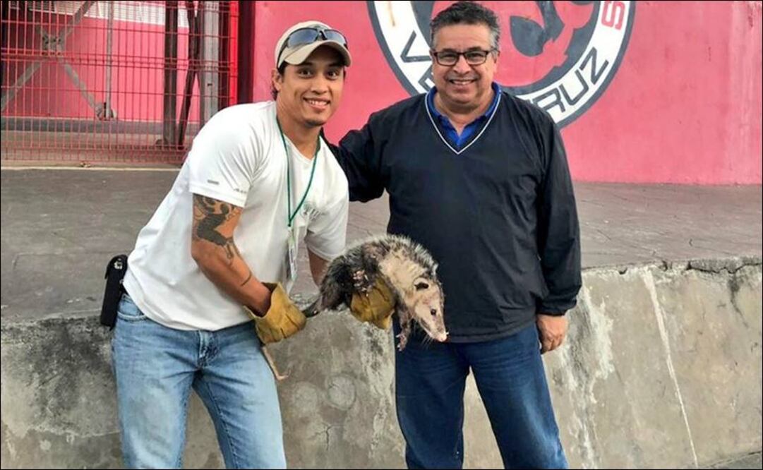 El animal se robó los reflectores en el partido entre Veracruz y Puebla