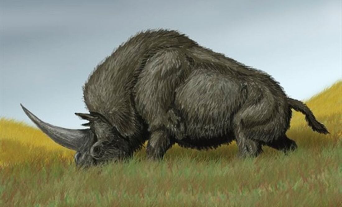 Ilustración del Unicornio siberiano. Crédito: Europa Press