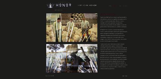 Ocultan a otros socios tequileros de Kate-Chapo