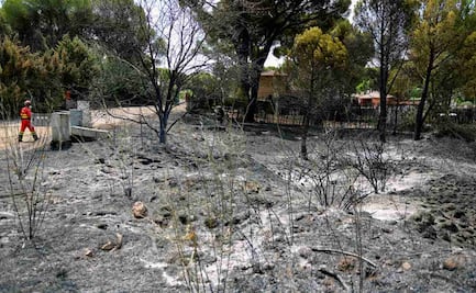 Por incendios forestales en España, evacúan a 3 mil 500 personas de pueblo cercano a Madrid; "fuego arde sin control"