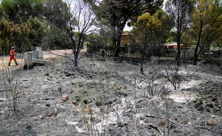 Por incendios forestales en España, evacúan a 3 mil 500 personas de pueblo cercano a Madrid; "fuego arde sin control"