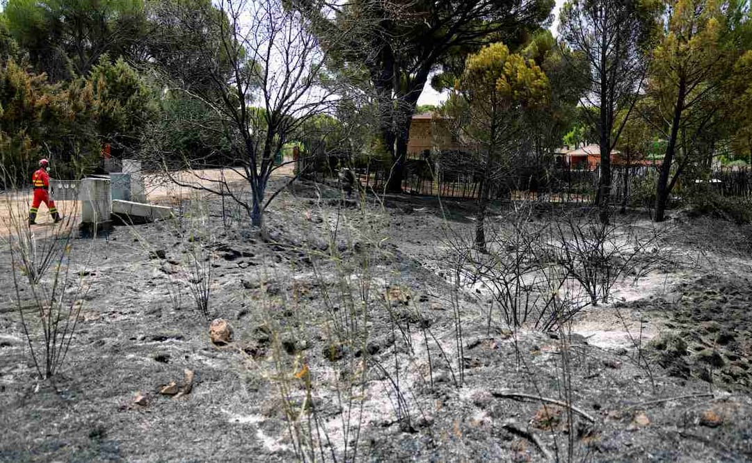 Miembros de la UME en la urbanización El Romillo del municipio toledano de Almorox. El incendio originado este jueves en la localidad toledana de Almorox, que ha obligado a evacuar varias urbanizaciones, ha quemado total o parcialmente al menos 26 viviendas, la mayoría en la Comunidad de Madrid. Foto: EFE