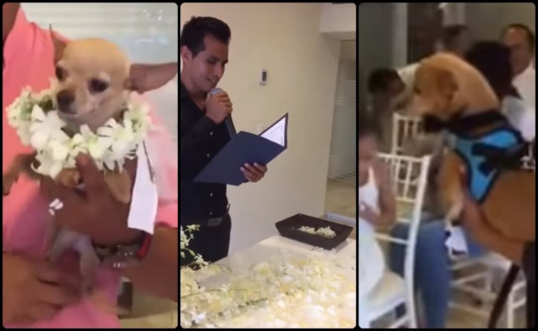 Fotos: Captura de pantalla