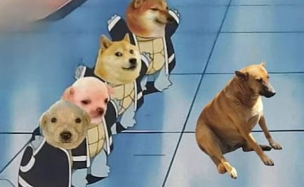 Surge el "Cheems mexicano” y desata ola de memes: “Qué agumsticidad"