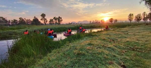 Xochimilco: paseo en kayak al amanecer y desayuno en una chinampa