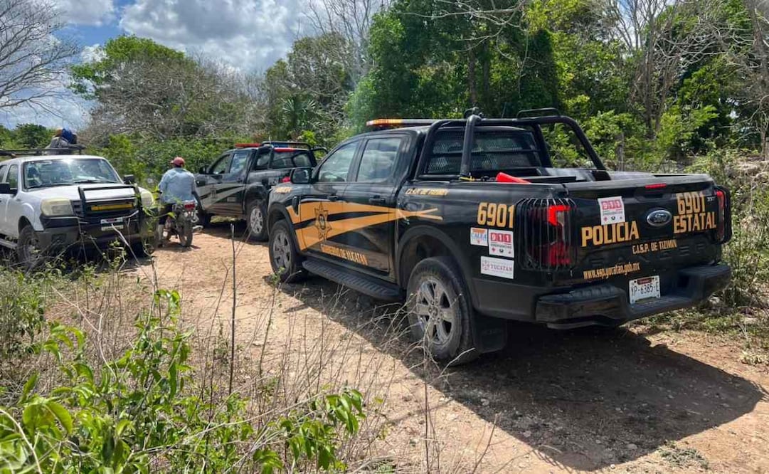 Hombre desaparece en monte de Tizimín, Yucatán; no regresa tras jornada de caza.
Foto: Especial.