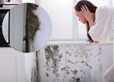 Descubre los consejos de arquitectos para eliminar la humedad por condensación de tu hogar