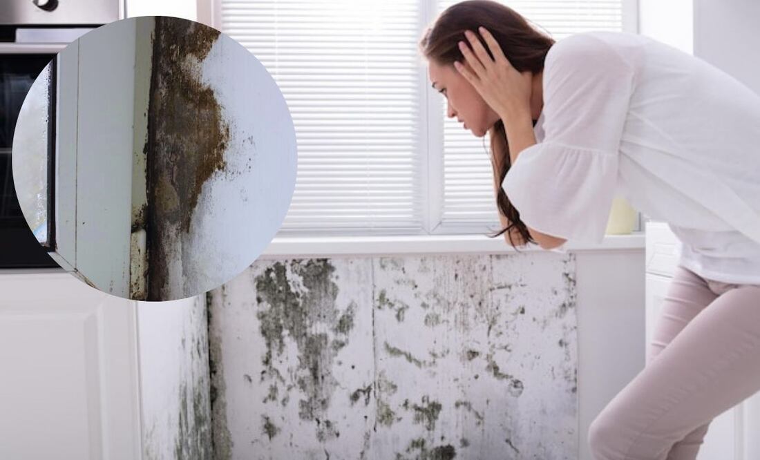 Soluciones para un problema común en los hogares. Fuente: Freepik.