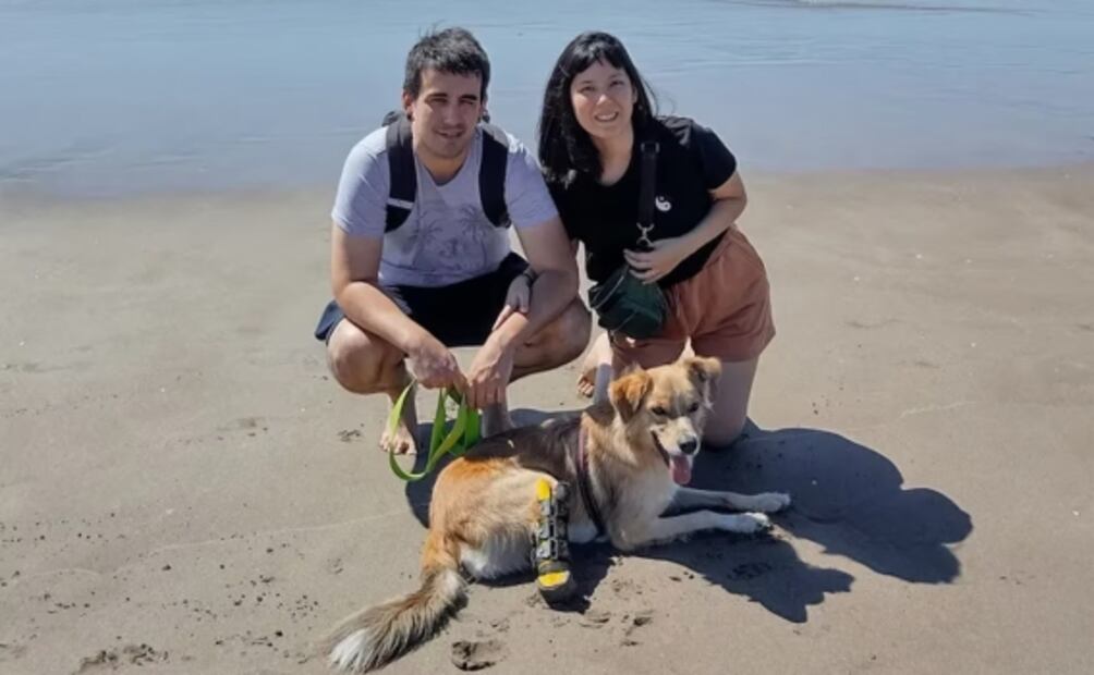 Nemo argentino: La historia del perrito discapacitado que ha conmocionado en redes