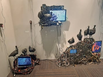 Tecnología y crisis climática desplazan temas de la violencia en la Feria de arte colombiana 