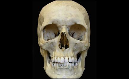 A través del sarro dental, científicos rastrean las drogas que se consumían en el siglo XIX