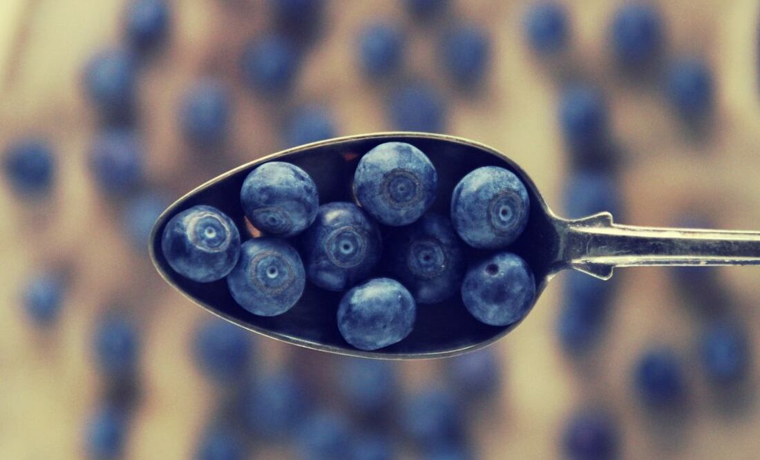Arándanos y salud. Fuente: Pixabay