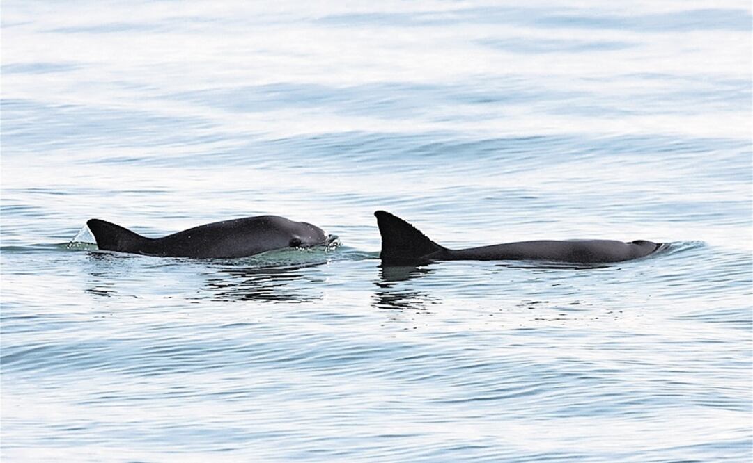 (Foto: Archivo - EL UNIVERSAL)