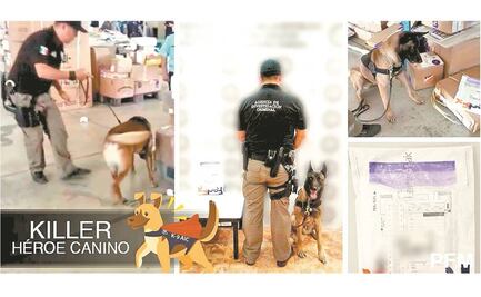 Cumplen misión; Fiscalía pone en venta a perros