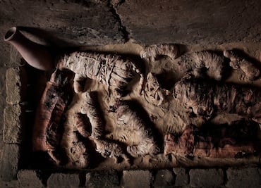 Hallan decenas de momias de gatos en El Cairo