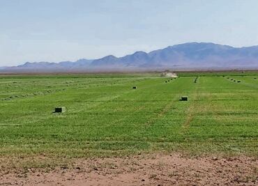 Apagones arrecian la crisis de sequía en Chihuahua