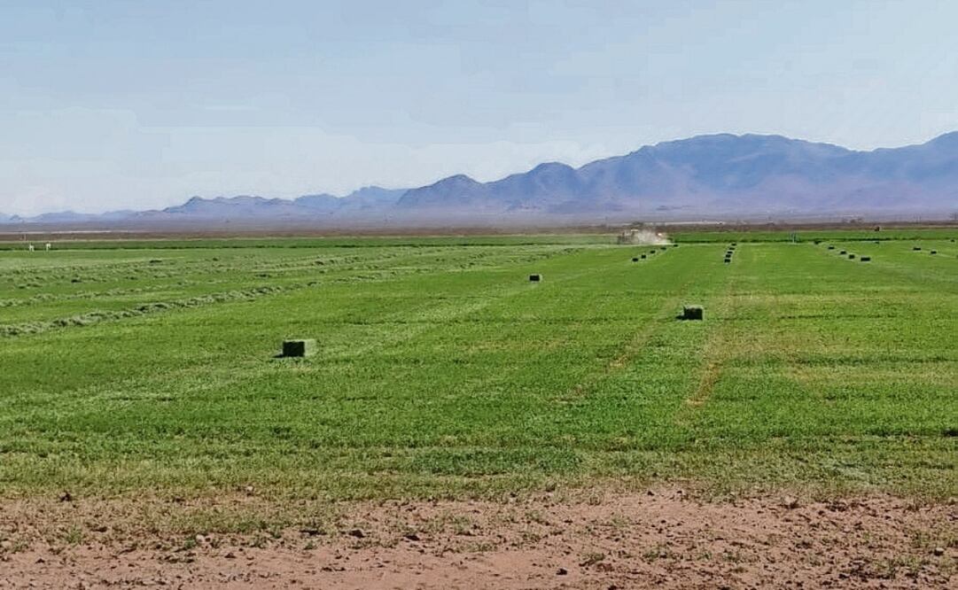 Agricultores y productores de varias regiones del estado de Chihuahua afectados en fecha reciente no sólo por la sequía prolongada que vive la entidad, sino también por una serie de cortes de energía, se manifestaron en la CFE del municipio de Ahumada. Foto: Especial