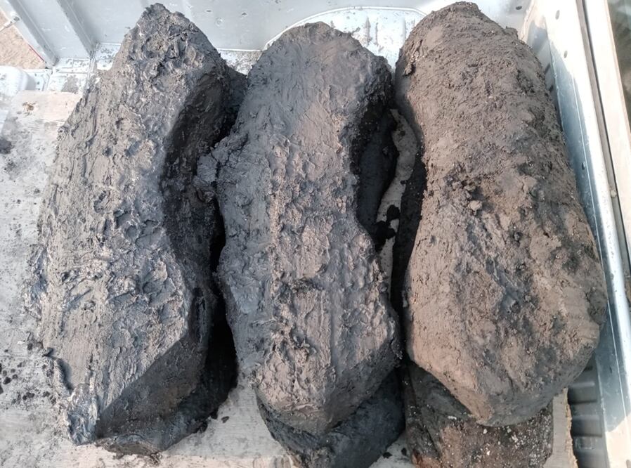 Restos de madera de una embarcación española fueron descubiertos en Chalco. 
Fotos: Cortesía Guillermo Hernández García, cortesía