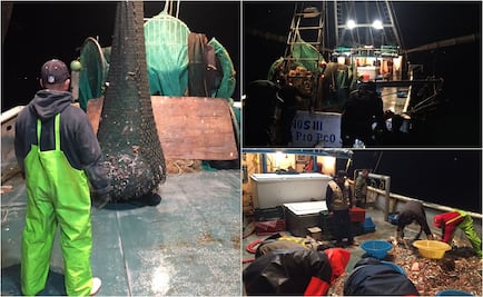 Aseguran embarcación por pesca ilegal en área protegida de BC