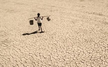 Viajan jóvenes mexicanos a Cannes con corto ecológico 