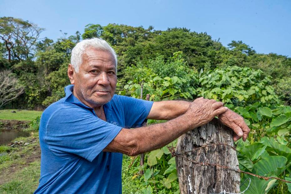 Don Fidel explica cómo se cultiva la malanga