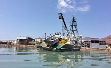 "Fishing subsidies, channeled to loyal political groups:" Ernesto Ruffo Appel