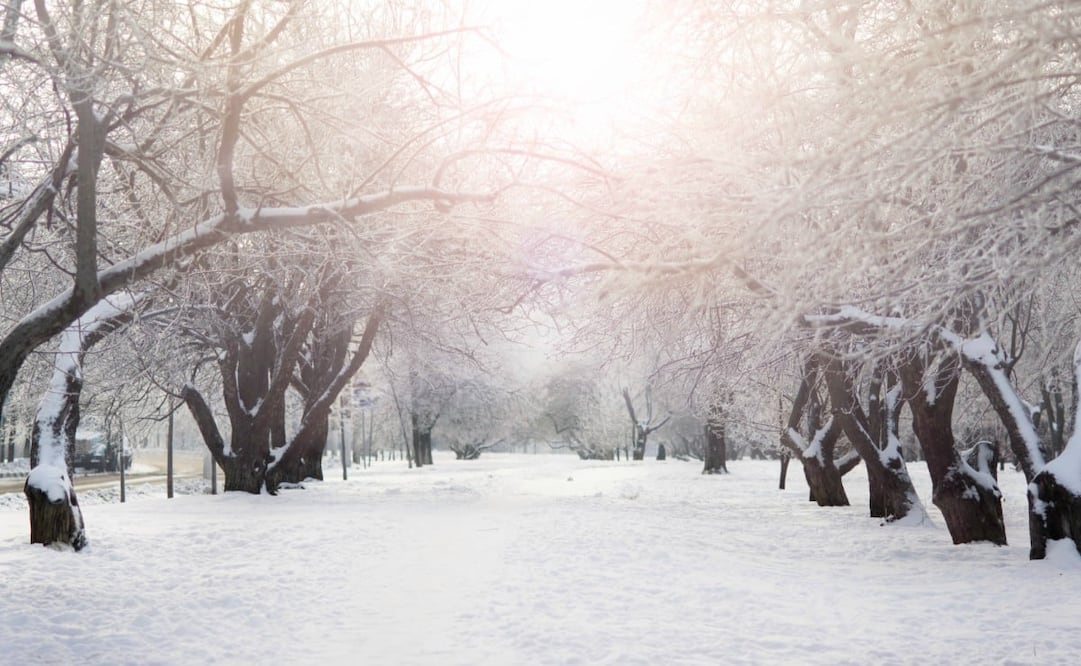 El Yule era una celebración del solsticio de invierno. Foto: Unsplash. Andrey Bond