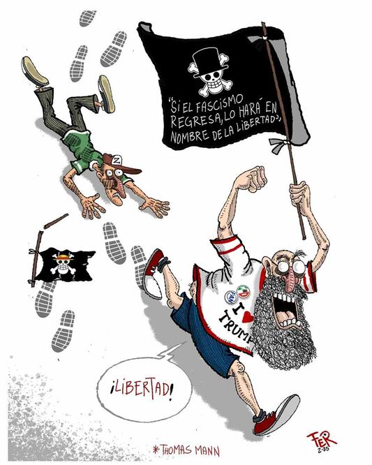 Cartón de FER