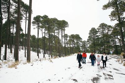 Sigue deterioro en Nevado de Toluca pese a nueva categoría