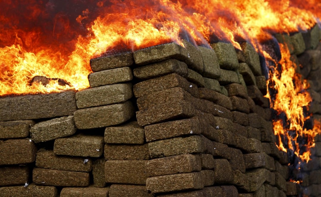 In 2019, homicide rates placed Tijuana as the most violent place in Mexico - Photo: Jorge Duenes/REUTERS