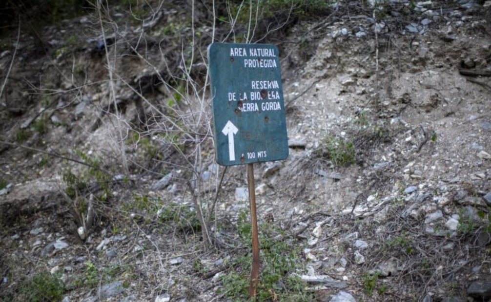 Reserva de la Biosfera des Sierra Gorda, Querétaro. Foto: Alejandro Saldívar / Mongabay