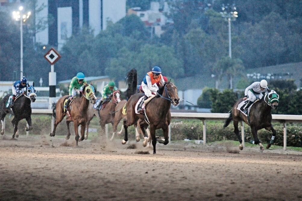 “Hamana” es la favorita para llevarse el triunfo en la carrera de “El Centenario de EL UNIVERSAL”. (FOTOS: MIGUEL ÁNGEL ESPINOZA)