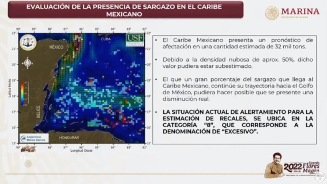 Sargazo en el Caribe prende las alarmas en el Gobierno de México